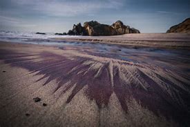 Image result for Purple Beach Big Sur