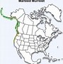 Image result for Marbled Murrelet Habitat Map