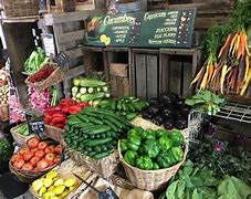 Image result for Broyan Farm Produce