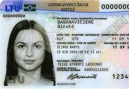 Image result for Lithuania Work Permit