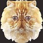 Image result for Persian Cat Clip Art