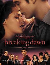 Image result for Twilight Saga Breaking Dawn Book