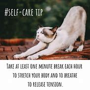 Image result for Self-Care Cat