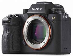 Image result for Sony A9ii Photo Results