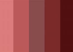 Image result for Solid Burgundy Color