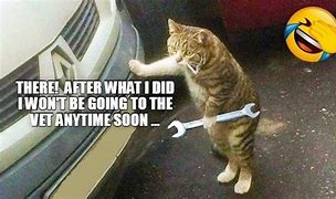 Image result for I Fixed It Animal Memes