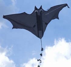 Image result for Bat Kite Ka Can Cal Dezine