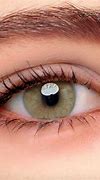 Image result for Brown Colored Contact Lenses