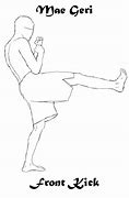 Image result for Types of Karate Mae Garikicks