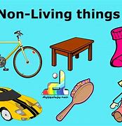 Image result for Non Living Things Cartoon