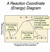 Image result for Reaction Coordinate Diagram for Positive Free Energy