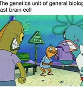 Image result for Brain Evolution Meme Template