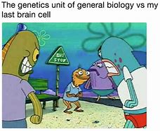 Image result for Brain Cells Work Together Meme