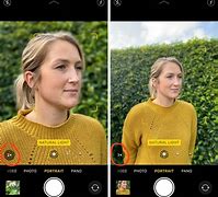 Image result for iPhone 11 Photo Samples