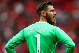 Image result for gea