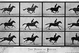 Image result for Horse Galloping First Picture