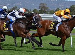 Image result for Horse Racing Android Wallpaper