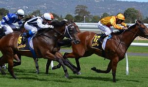 Image result for Horse Racing Mobile Wallpaper