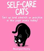 Image result for Self-Care Cat