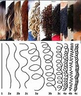 Image result for 3A Hair Back of Head