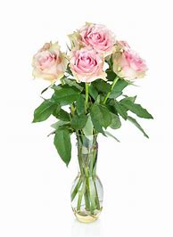 Image result for Hot Pink Roses Vase