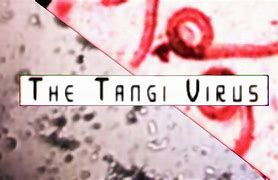 Image result for Tangi Virus Meme