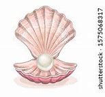 Image result for Quahog Clam