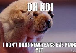 Image result for New Year's Dog Meme Twitter
