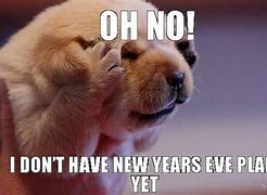 Image result for Funny Happy New Year Memes