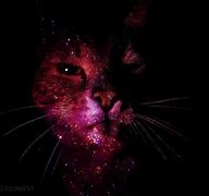 Image result for Purple Cat Galaxy Wallpaper