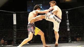 Image result for MMA Kick