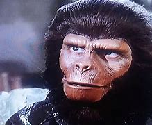 Image result for Planet of the Apes Dr