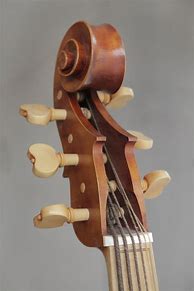 Image result for violone