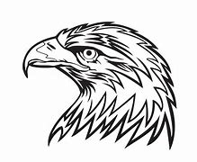 Image result for Bald Eagle Landing Drawing