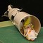 Image result for Model Rocket Piston Launcher