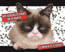 Image result for grumpiest cats party meme