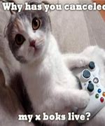 Image result for Xbox Cat Memes