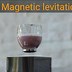 Image result for Magnetic Levitation Device