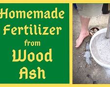 Image result for Liquid Fertilizer From Ashes