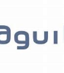 Image result for aguil�b