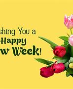 Image result for Happy Start of the Week