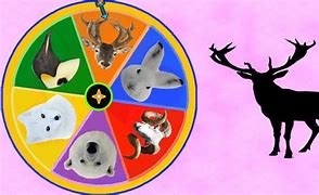 Image result for Animal Spin Wheel