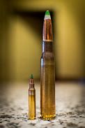 Image result for 0.50 Cal