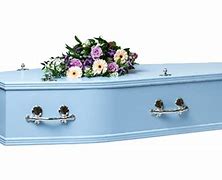 Image result for Designer Coffins