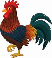 Image result for Coq Clip Art