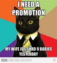 Image result for Executive Cat Meme