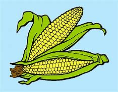 Image result for Harvest Corn Coloring Pages