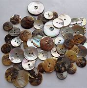 Image result for Shell Buttons