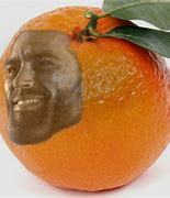 Image result for Fruit Bat Meme