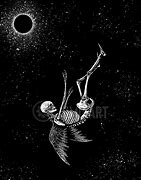 Image result for Skeleton Falling